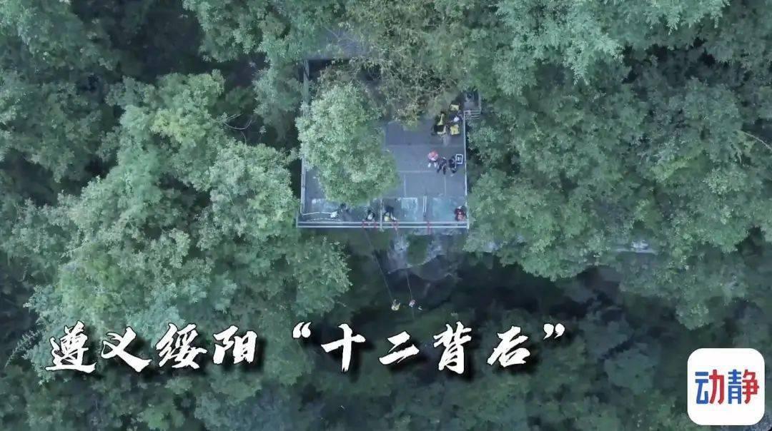 漆黑的森林逃脱